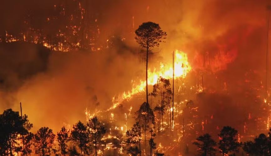 Imagem aérea de incêndio de grandes proporções que atinge o Parque Nacional de Brasília, em setembro de 2024