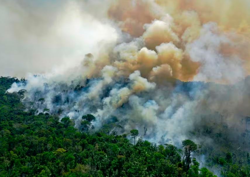 Fogo consome a floresta amazônica no Pará, principal estado em termos de desmatamento desde 2005 