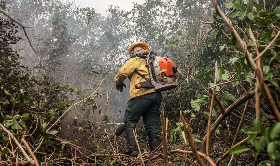 Ibama explicou que o fogo teve origem em vegetação nativa típica do bioma, no interior do imóvel autuado, em junho