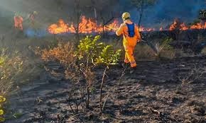 Incêndios: cresce o número de pessoas atingidas