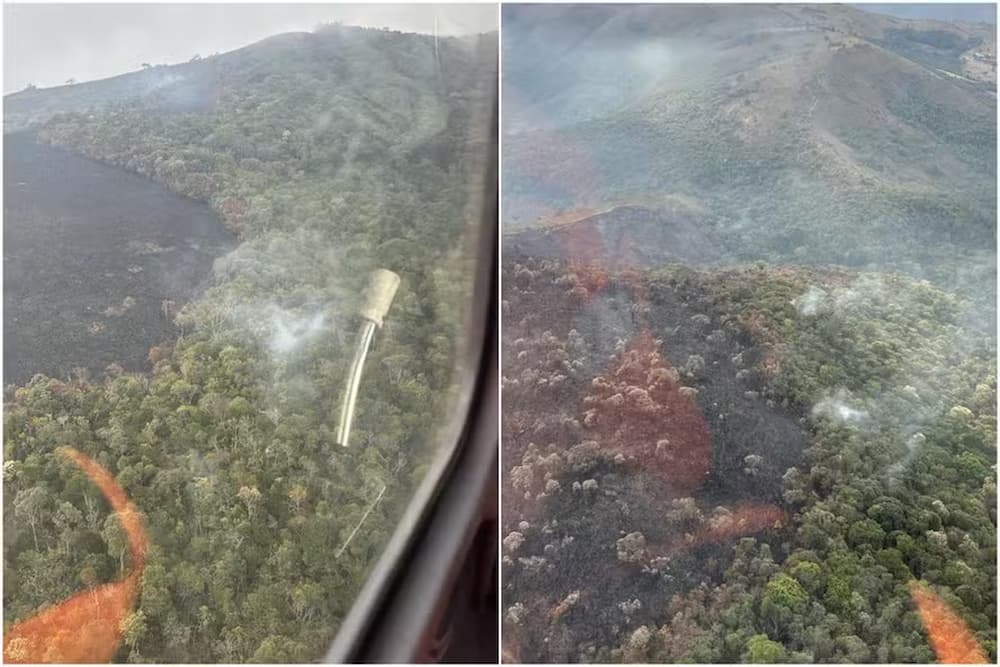 Minas registrou 299 focos de incêndios florestais em um único dia