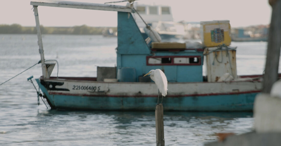 "À deriva" integra projeto Nove Solos - Videoarte, política e afetos: nove visões de um mundo pós-pandêmico