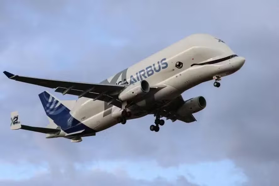 Beluga chama atenção ao pousar em Londres, na Inglaterra 