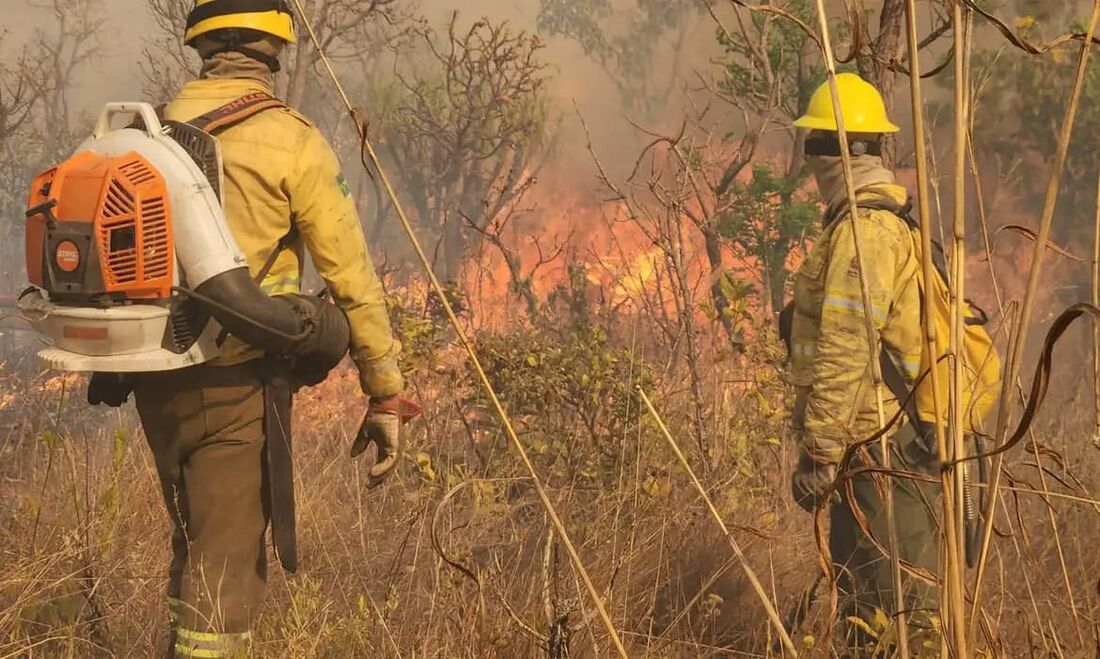 Ações do país evitaram cenário pior de secas e queimadas, diz  ministra do Meio Ambiente e Mudanças do Clima