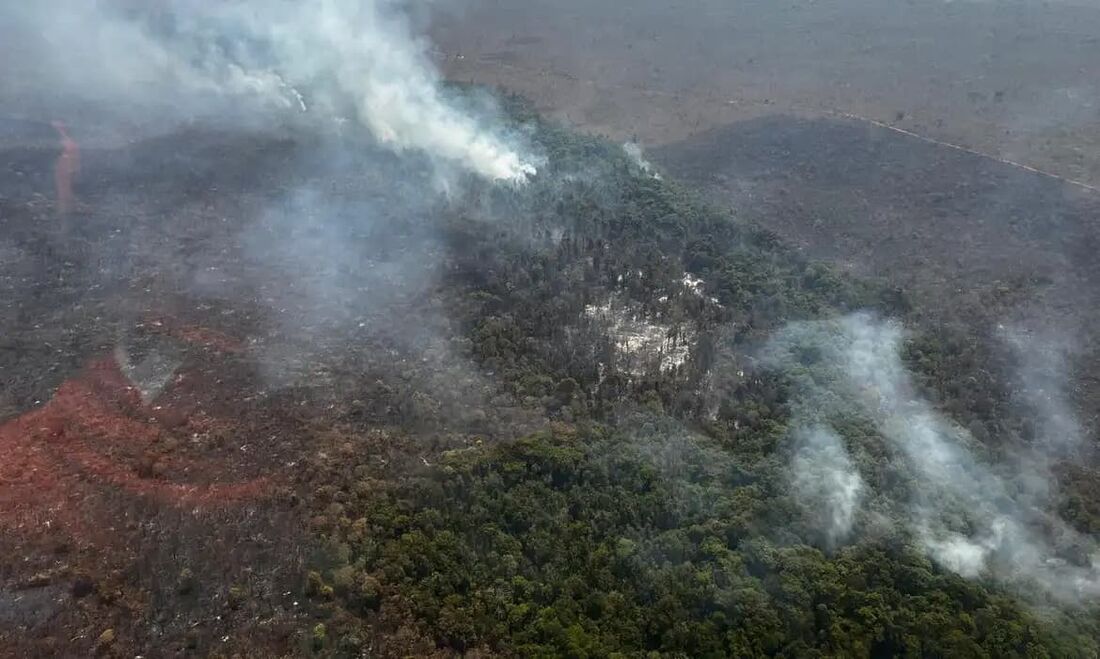 ncêndio florestal no Parque Nacional de Brasília está controlado