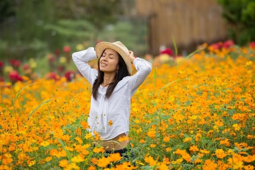 A primavera é associada ao tempo de renascer 