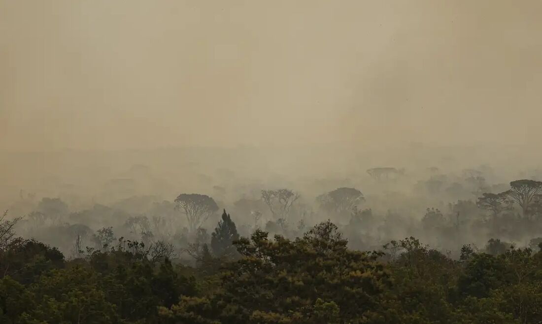 Incêndio em parque florestal no Brasil