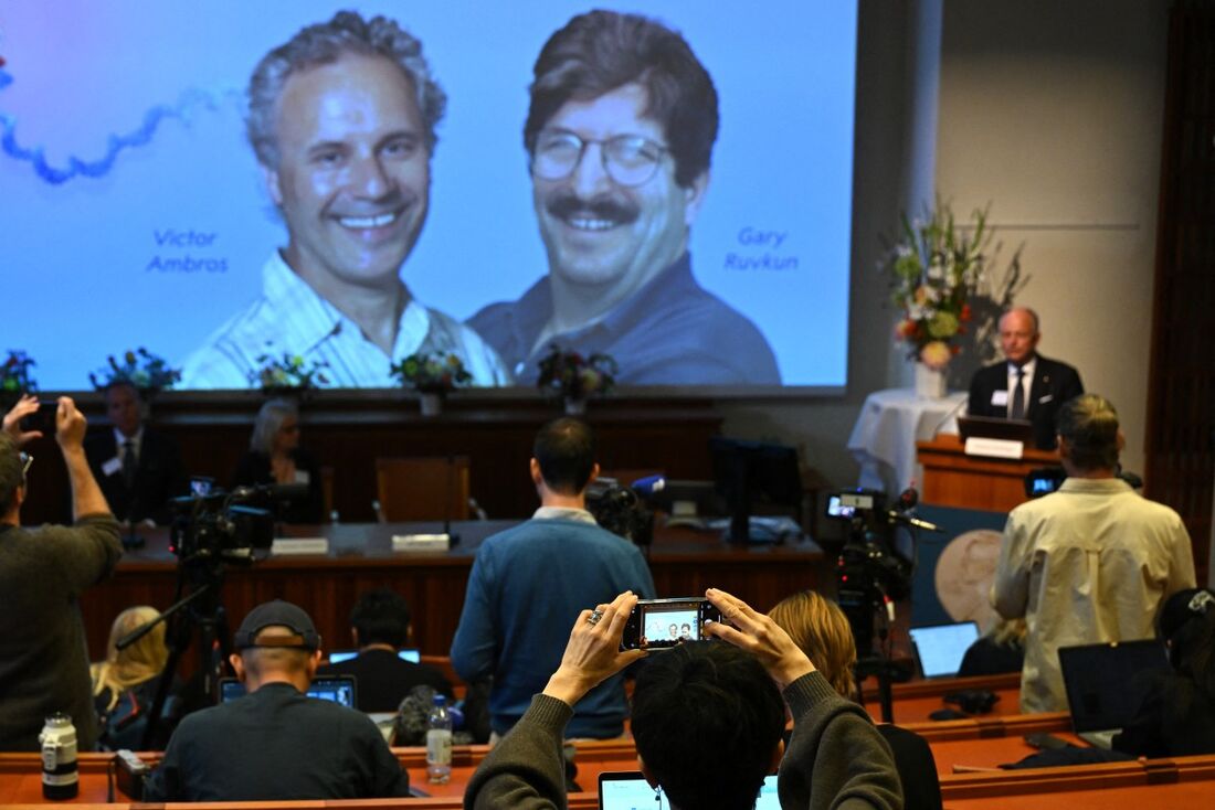 Dois americanos ganham Nobel de Medicina pela descoberta do microRNA