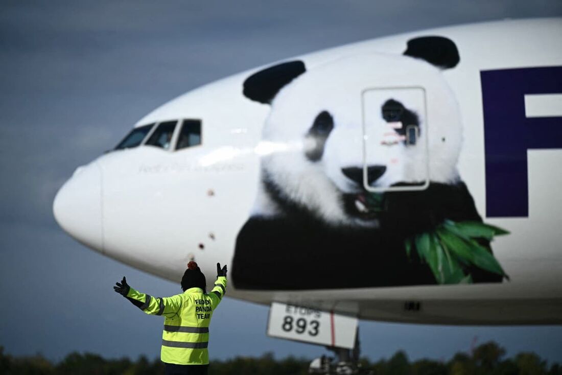 Um jato de carga operado pela FedEx transportando dois pandas gigantes pousa no aeroporto de Dulles, na Virgínia