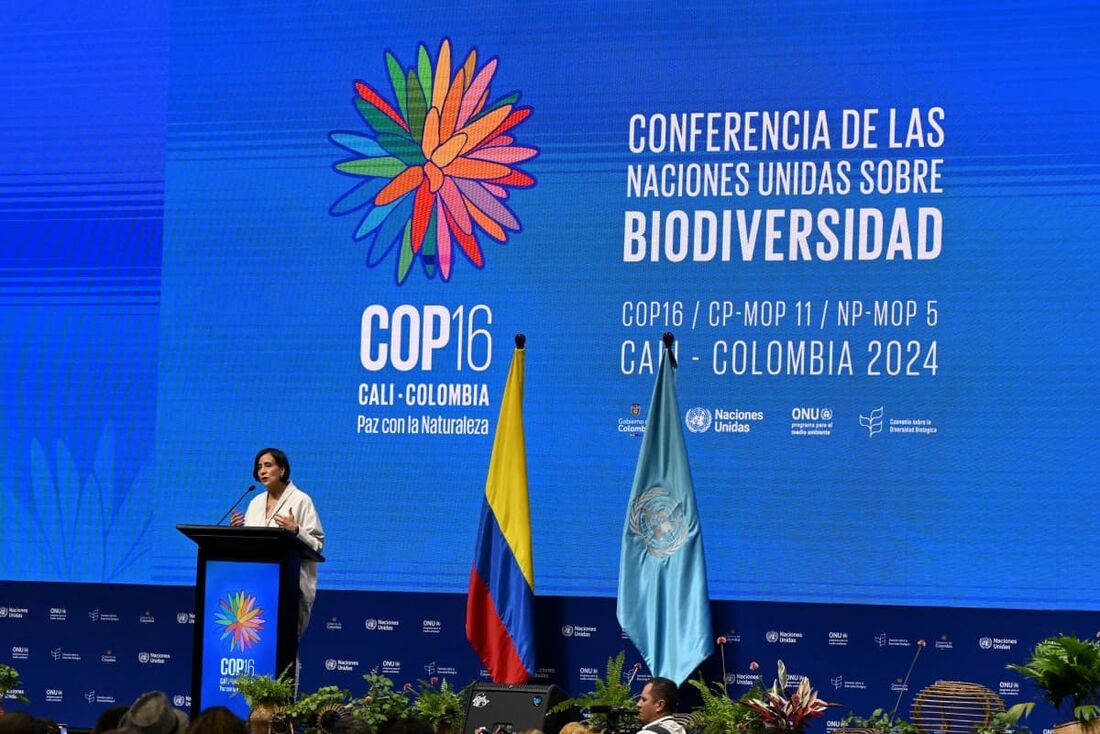  COP16