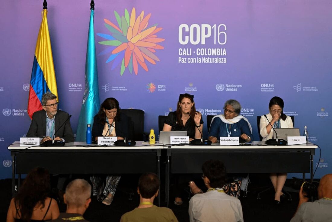 Bernadette Fischler (C), Chefe de Advocacia Internacional do WWF, dá uma entrevista coletiva durante a cúpula da COP16 em Cali, Colômbia, em 21 de outubro de 2024.