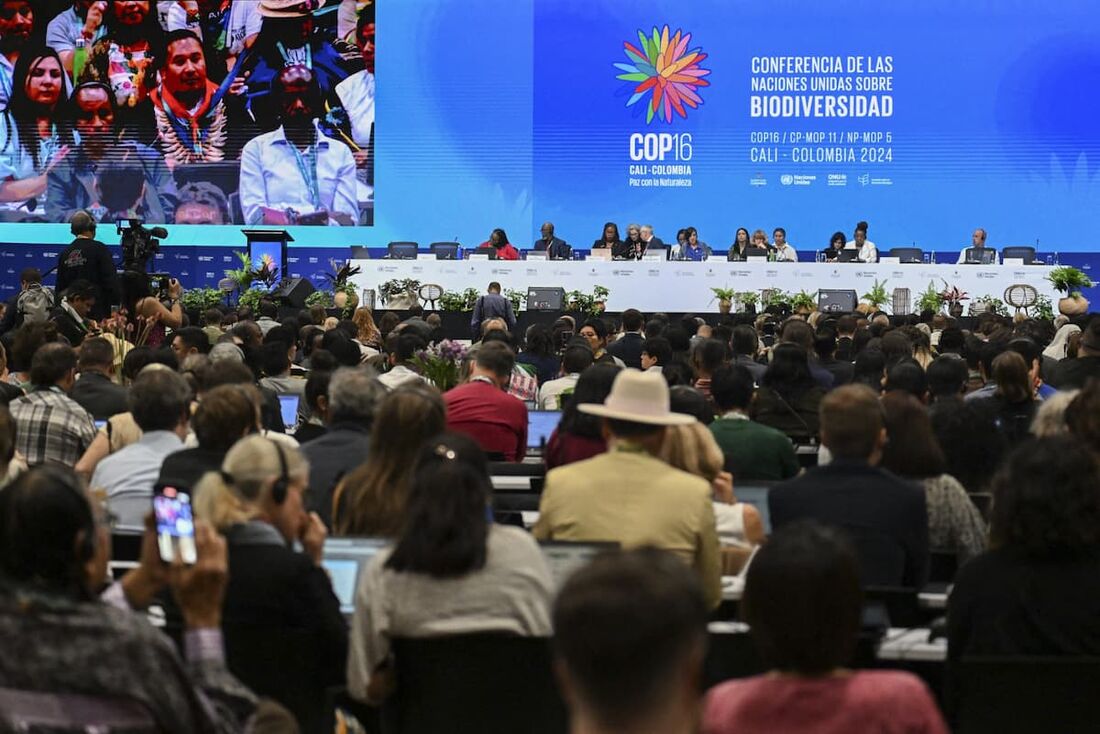 Cerimônia de abertura da cúpula da COP16 em Cali, Colômbia, em 21 de outubro de 2024.