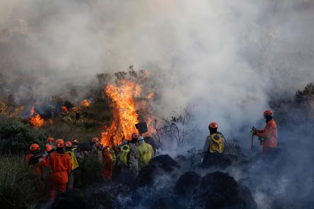 Brigadistas do Parque Nacional do Itatiaia, bombeiros e voluntários atuam para conter incêndio que teve início na última sexta-feira (14). 