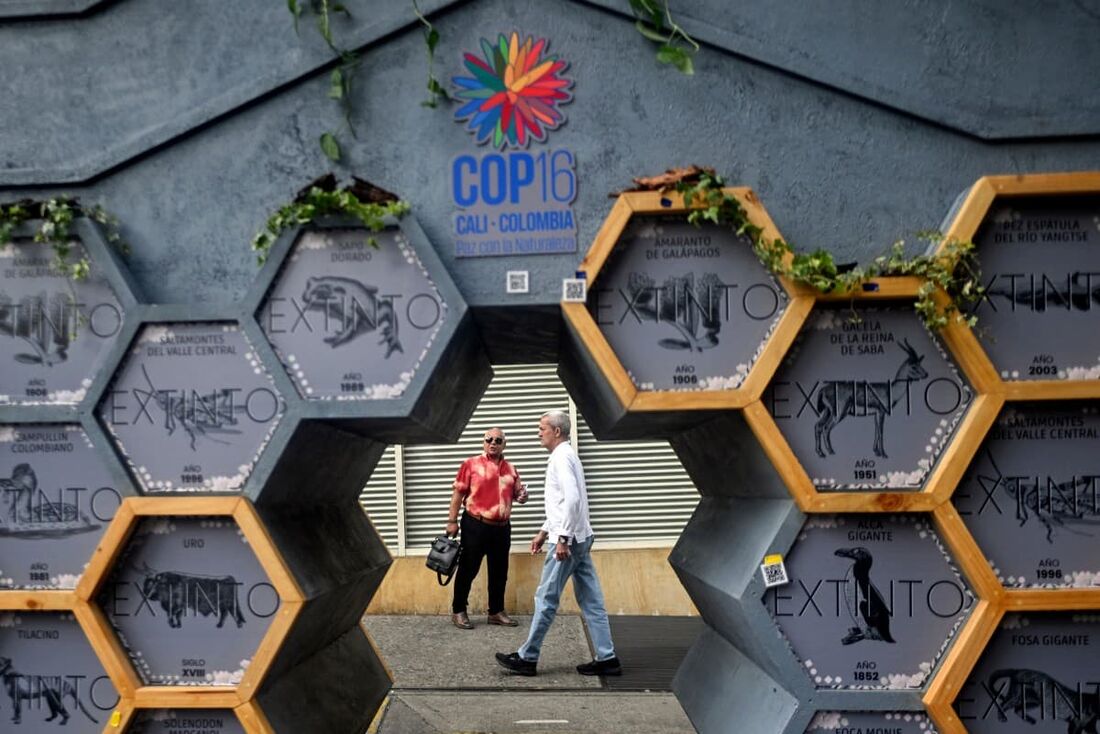 Pessoas passam por uma exposição de espécies extintas na Zona Verde da cúpula da COP16 em Cali, Colômbia, em 28 de outubro de 2024.