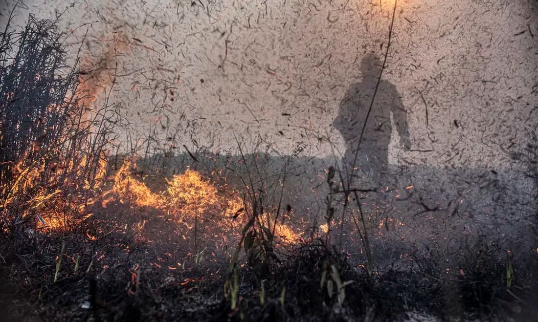 Com mais de 2,3 mil focos de incêndio detectados nas últimas 48 horas, o Brasil já acumula este ano até o domingo (13), 226,6 mil registros detectados pelo Programa Queimadas do Inpe