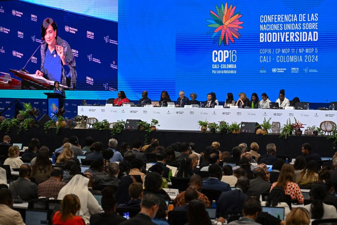 COP16 sobre biodiversidade começa oficialmente em Cali, Colômbia