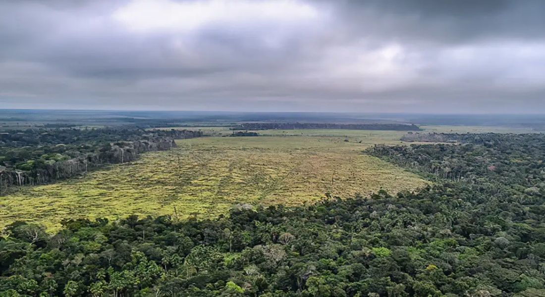 Degradação na Amazônia