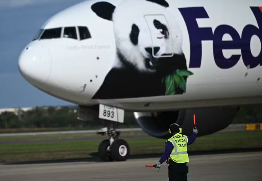 Ursos panda Bao Li e Qing Bao, enviados pela China, chegaram ao Aeroporto Internacional de Washington 