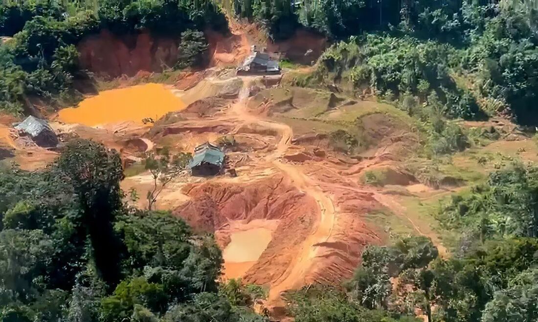 Crimes ambientais na Amazônia Legal