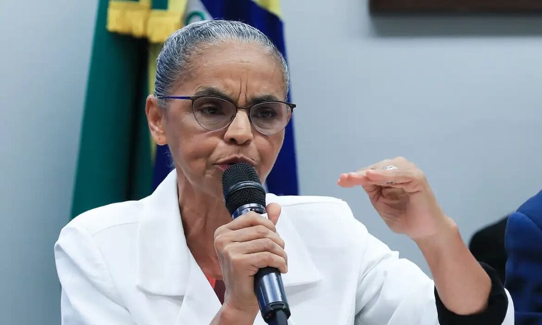 A ministra do Meio Ambiente e Mudança do Clima, Marina Silva