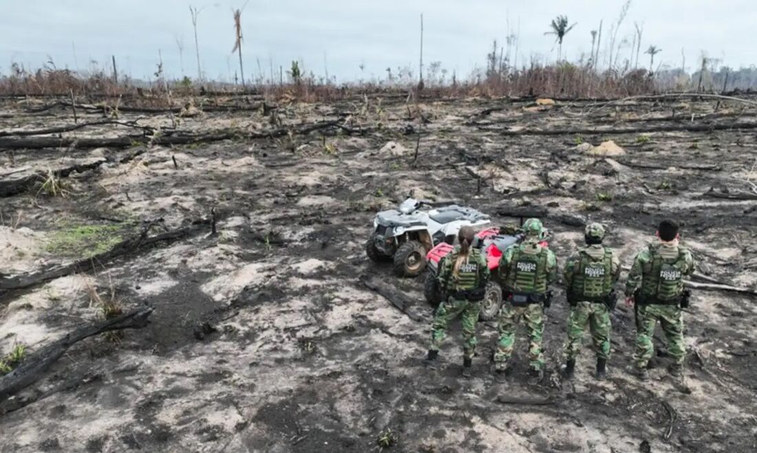 Foram apreendidas 1,1 mil cabeças de gado, um veículo automotor e duas armas de fogo