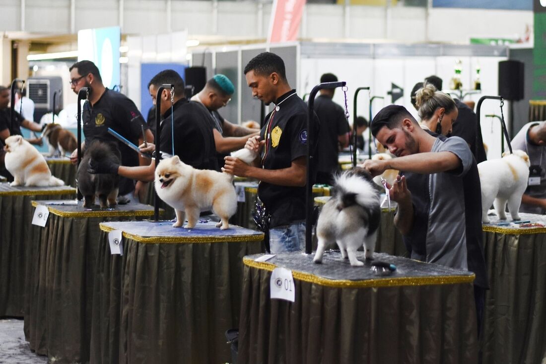 Feira Petnor acontece no Centro de Convenções, em novembro