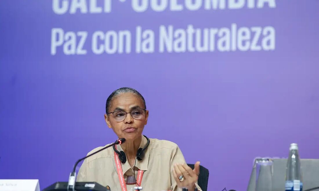 Ministra Marina Silva