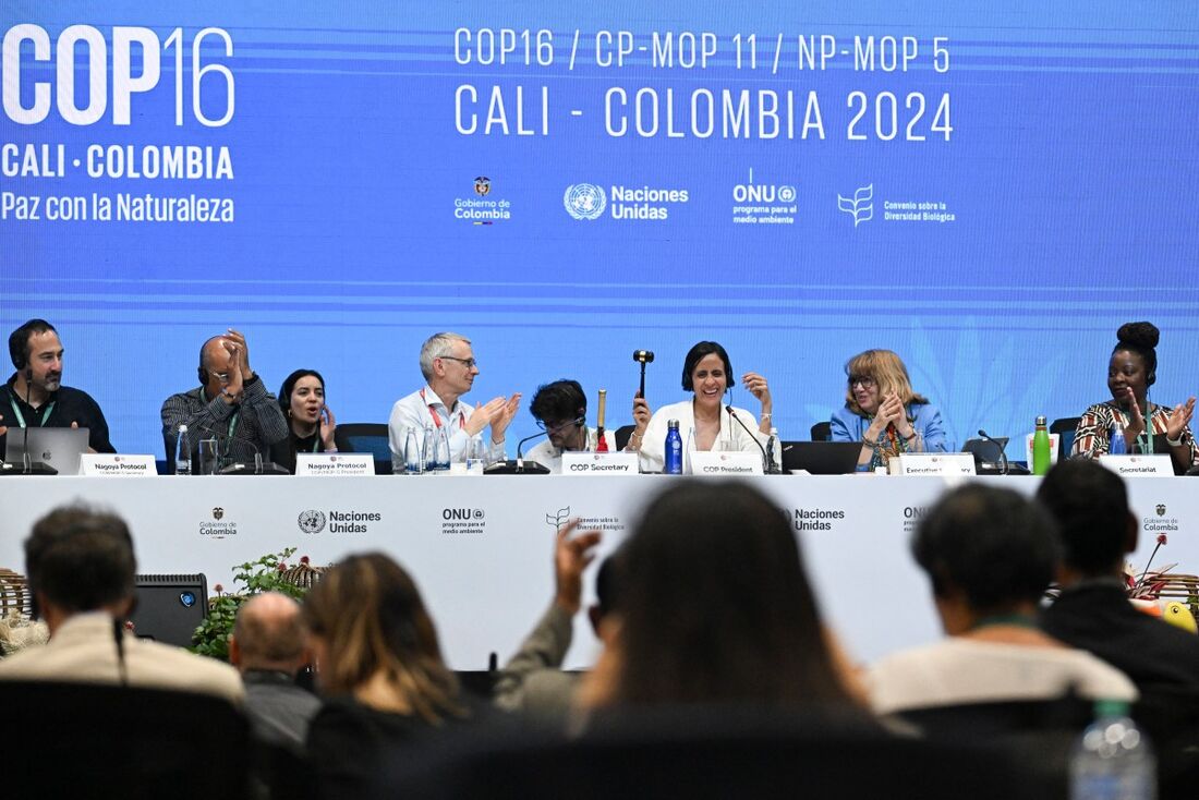 COP16 finaliza sem acordo sobre financiamento do plano para salvar a natureza