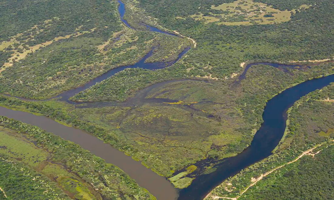 A Mata Atlântica é o bioma que mais sofreu alteração na cobertura e uso da terra no Brasil nos anos de 1985 a 2023. 