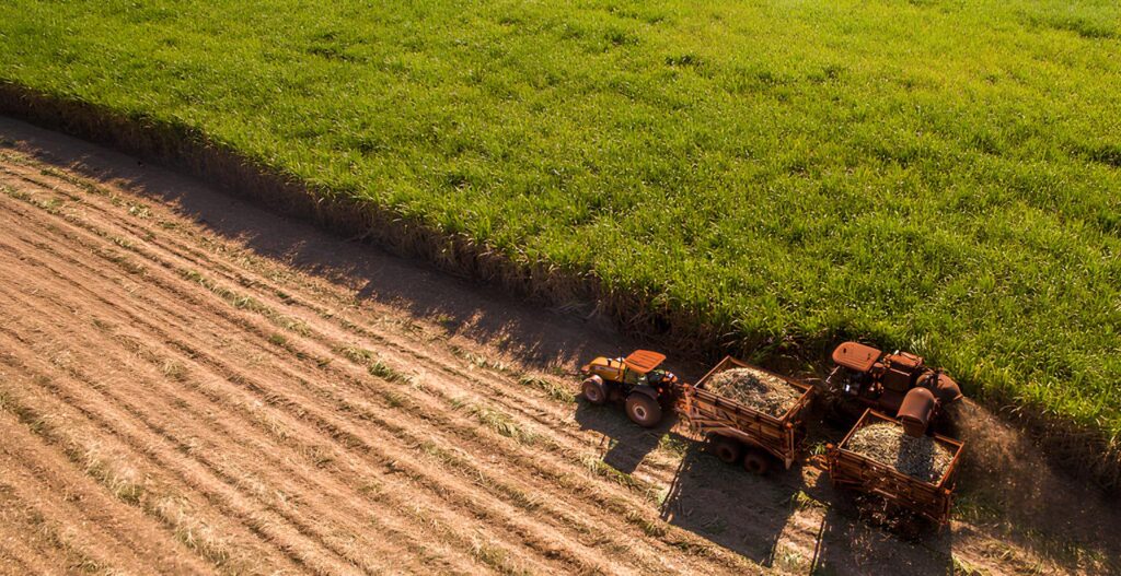 Etanol de cana entra em fase de novas pesquisas