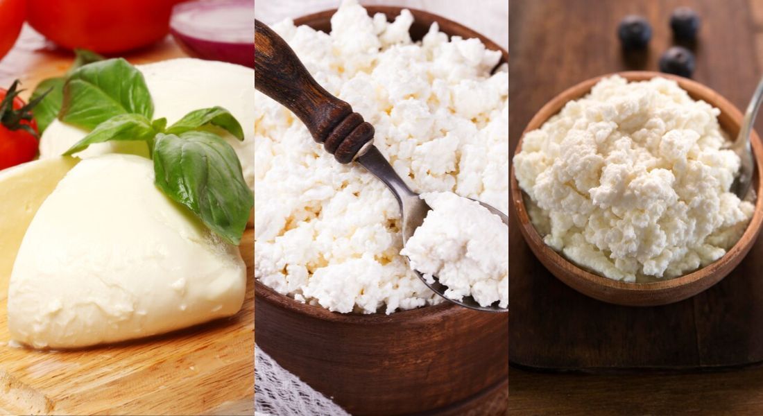 Mussarela, cottage e ricota:  qual o queijo mais rico em proteínas?