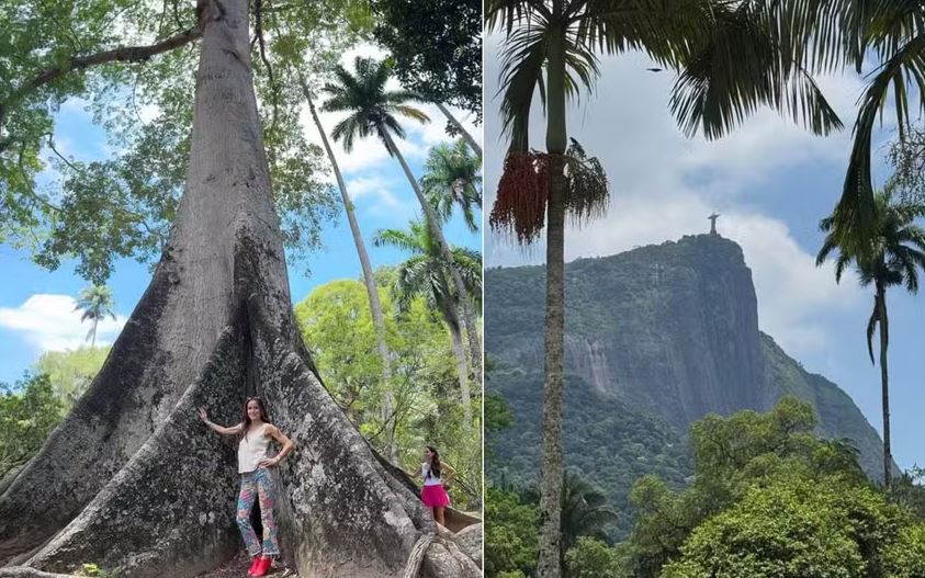 Ashley Biden posa com imponente sumaúma do Jardim Botânico, e mostra vista para o Cristo Redentor em meio às árvores