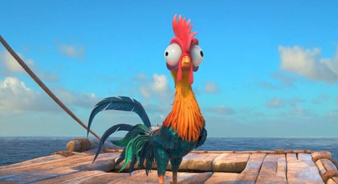 Hei Hei é o animal de estimação de Moana