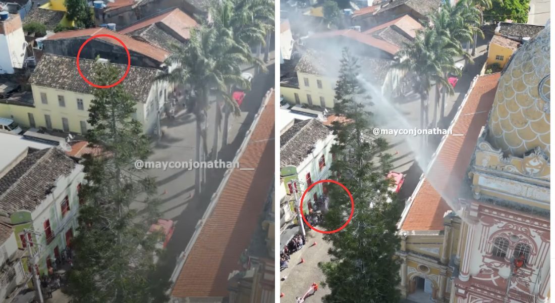 Bombeiros lançaram jato d´água para tentar tirar gato de topo de árvore