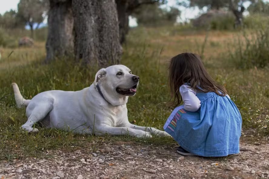 Criança e cachorro 