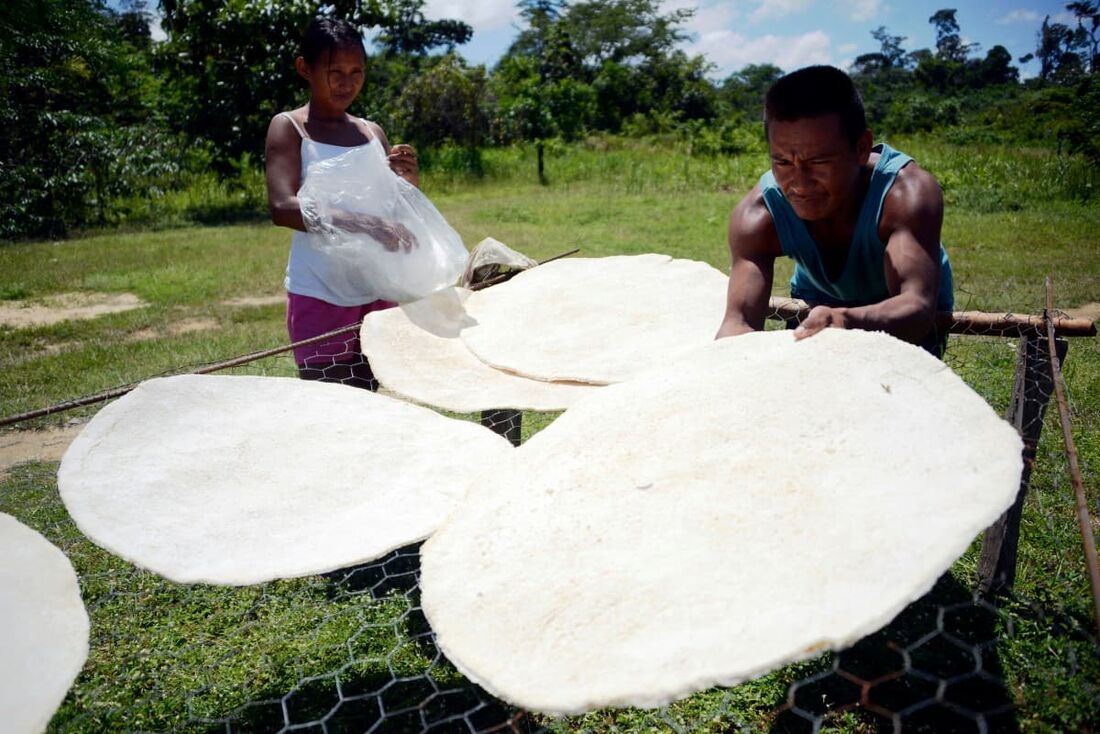  Um casal de nativos Piaroa da tribo Samaria cozinha casabe (um tipo de pão) nos arredores de Puerto Ayacucho, estado do Amazonas, Venezuela.