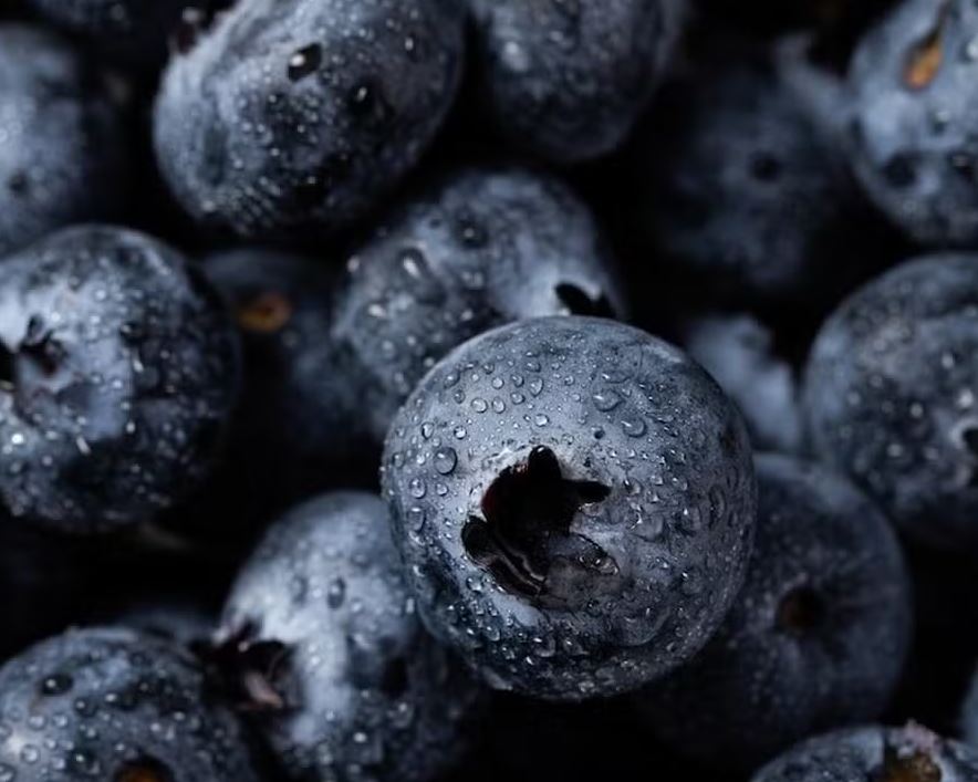 A alimentação impacta o fluxo sanguíneo das veias e artérias 