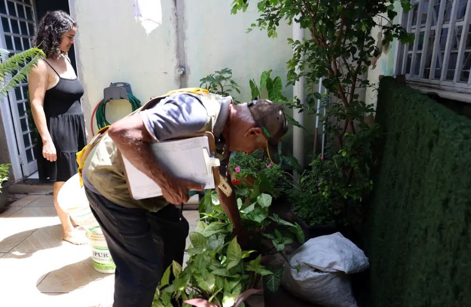 Combater a dengue antes do verão é importante