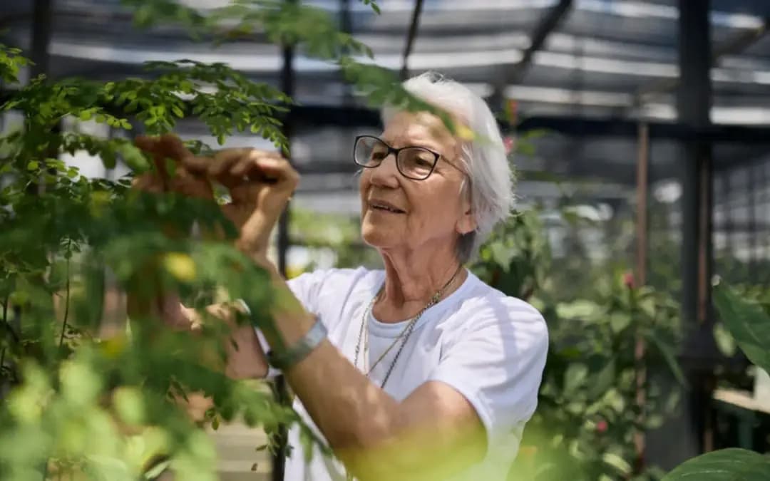 Segunda brasileira a receber Prêmio Nansen, Rosita Milesi é ativista, advogada e religiosa