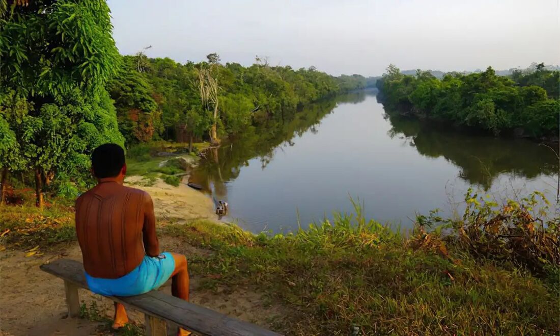 Terras Indígenas Amazônicas