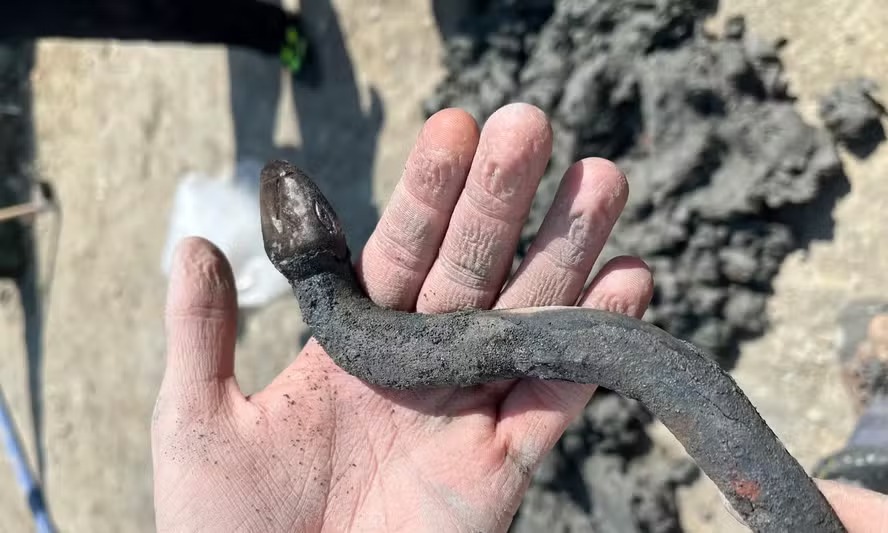 Serpente de bronze encontrada em um antigo spa termal na Toscana, Itália 