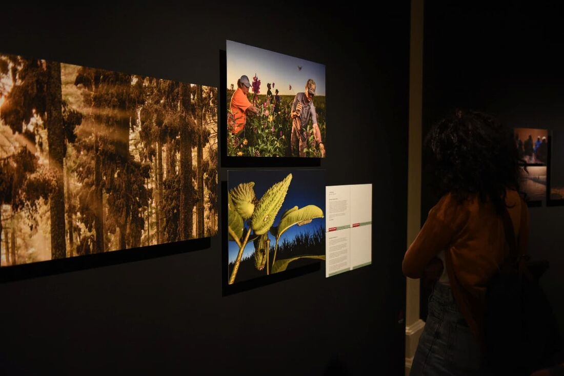 Exposição fotográfica da World Press Photo