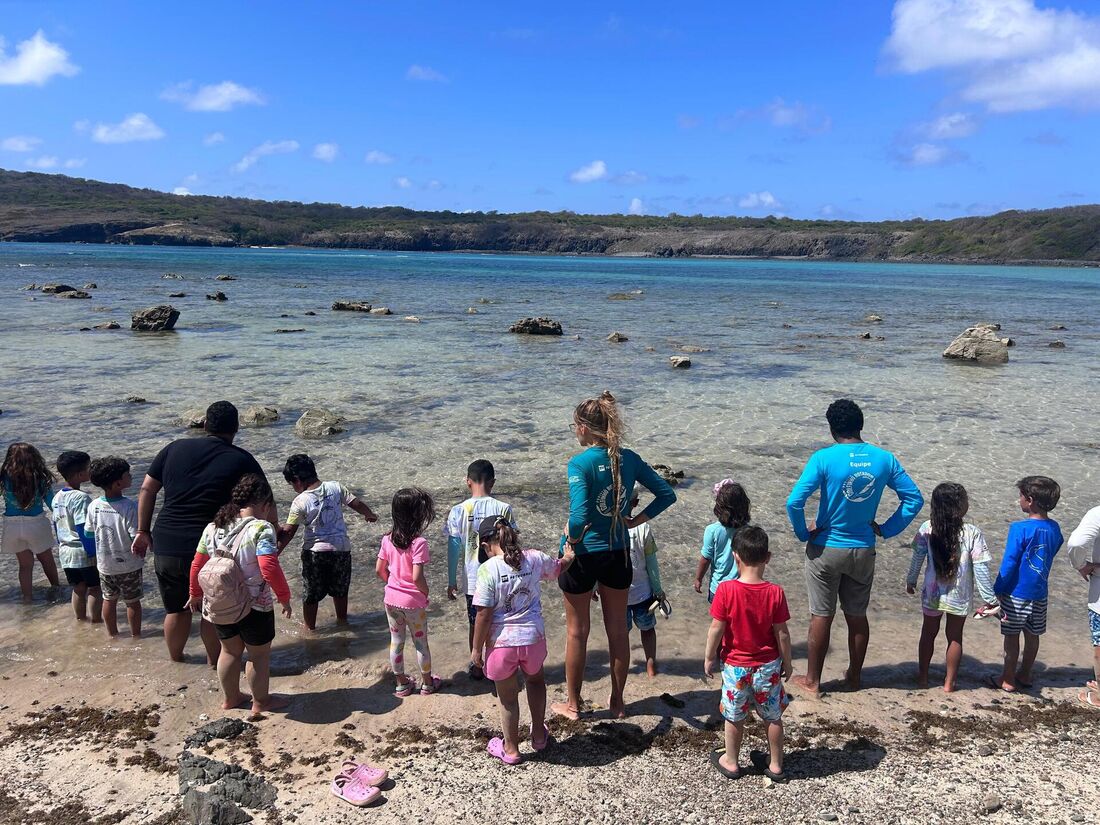 Férias ecoloógicas em Fernando de Noronha