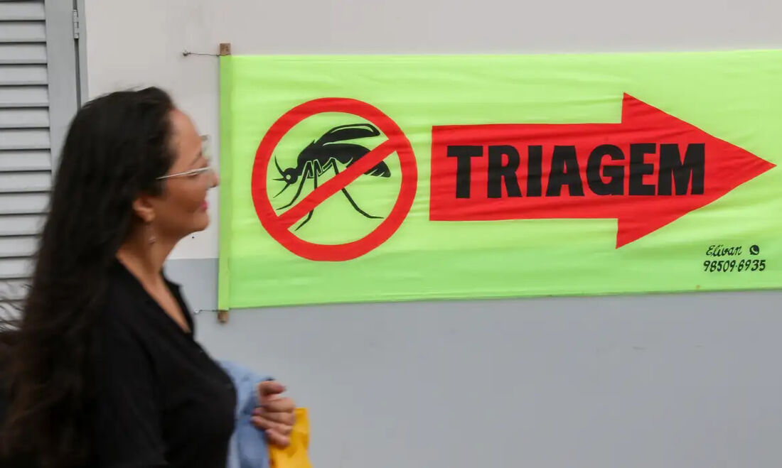 A dengue é uma doença viral transmitida pelo mosquito Aedes aegypti que afeta milhões de pessoas no mundo  sobretudo em países tropicais como o Brasil