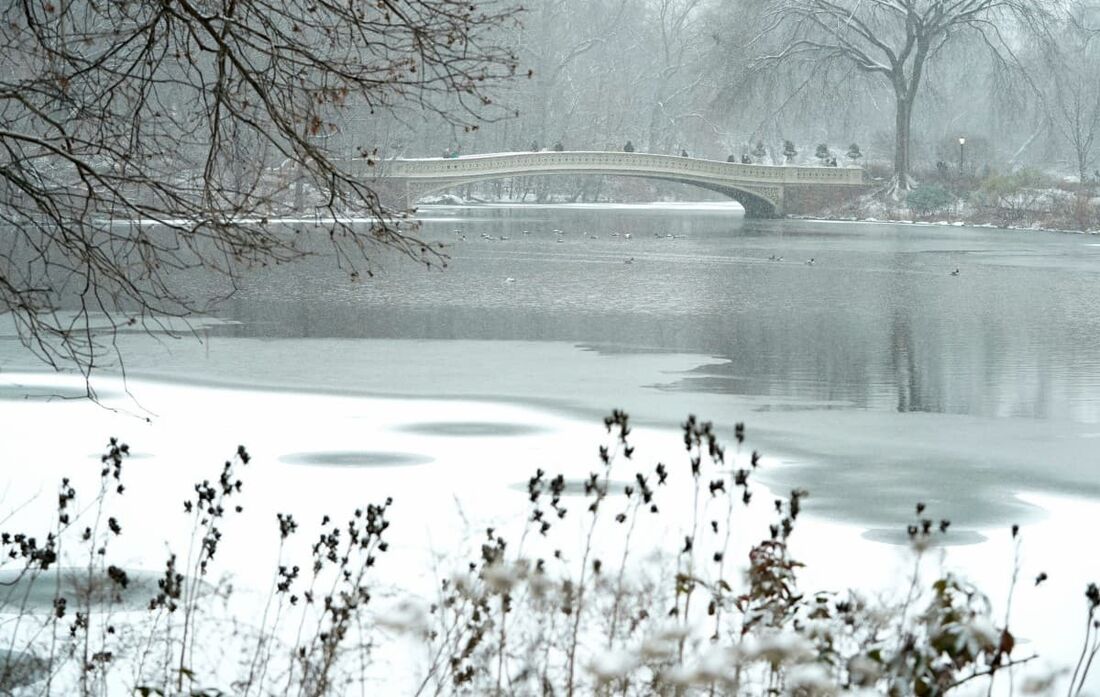 A Bow Bridge na neve no Central Park em 6 de janeiro de 2025 na cidade de Nova York enquanto uma grande tempestade de inverno atinge a região do Meio-Atlântico. 