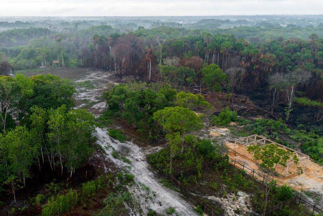 Visão aérea de um território à venda após ser afetado por incêndios florestais, no arquipélago de Marajó, no Pará