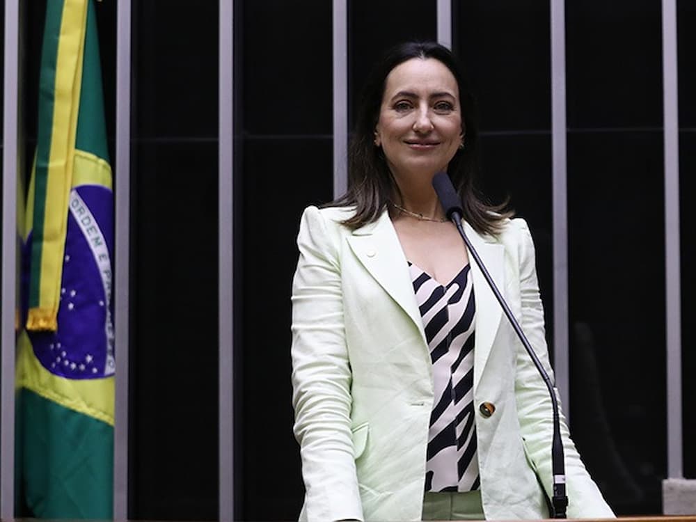 Rosângela Moro (União Brasil-SP)
