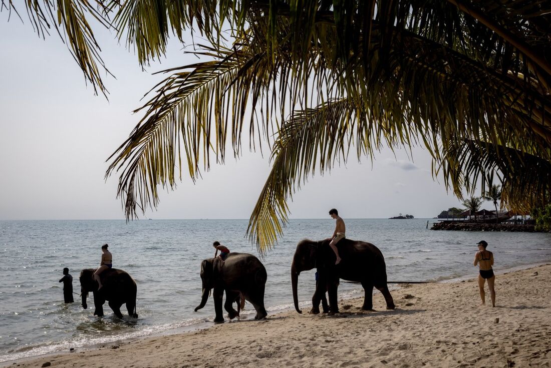 Turistas montam elefantes em uma praia na ilha tailandesa de Koh Chang, em 9 de abril de 2023