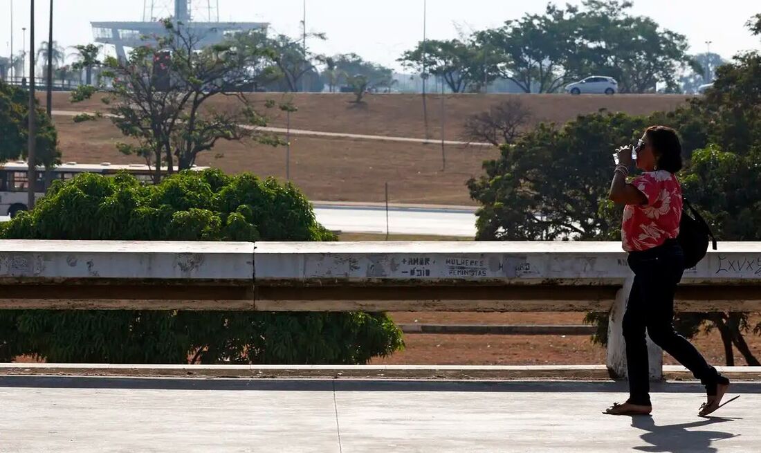 Temperatura média anual chegou a 25,02°C