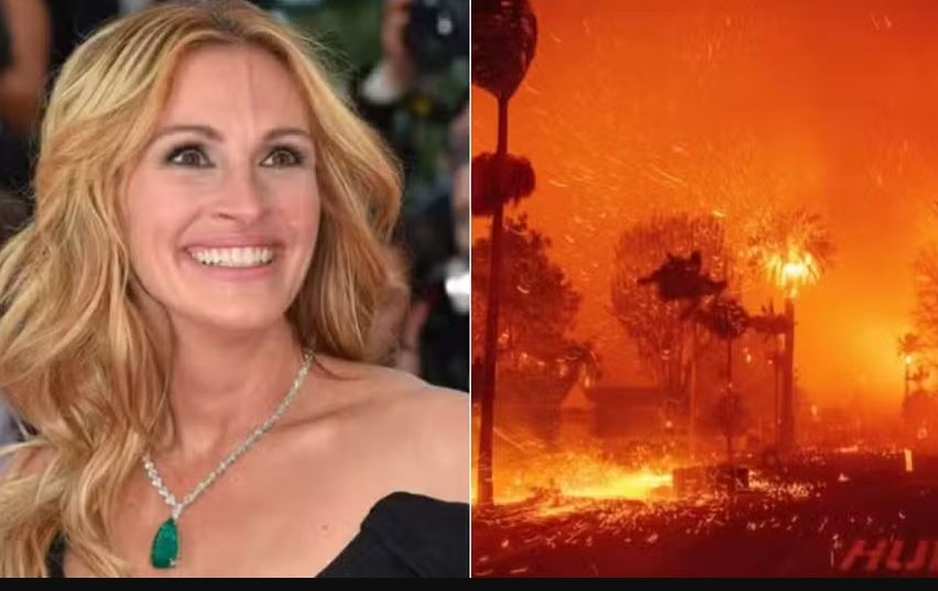 Julia Roberts critica saqueadores durante incêndios em LA 